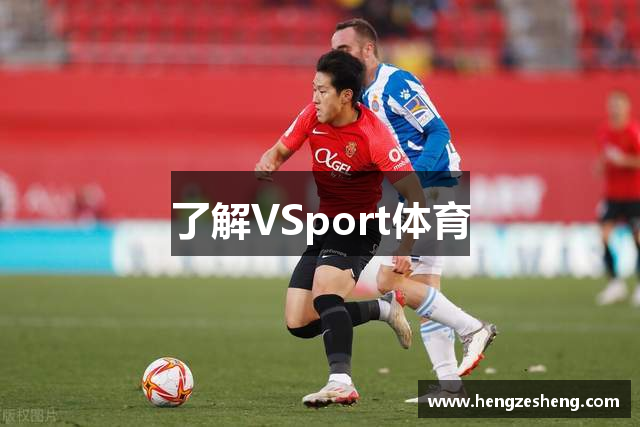 VSport-胜利因您更精彩